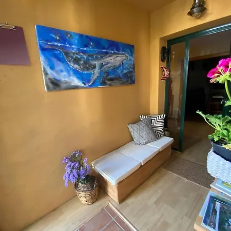 Casa Loureal Ribeira Sacra Ourense Exterior photo